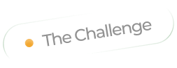 Business Setup Challenges in UAE – Section Tag